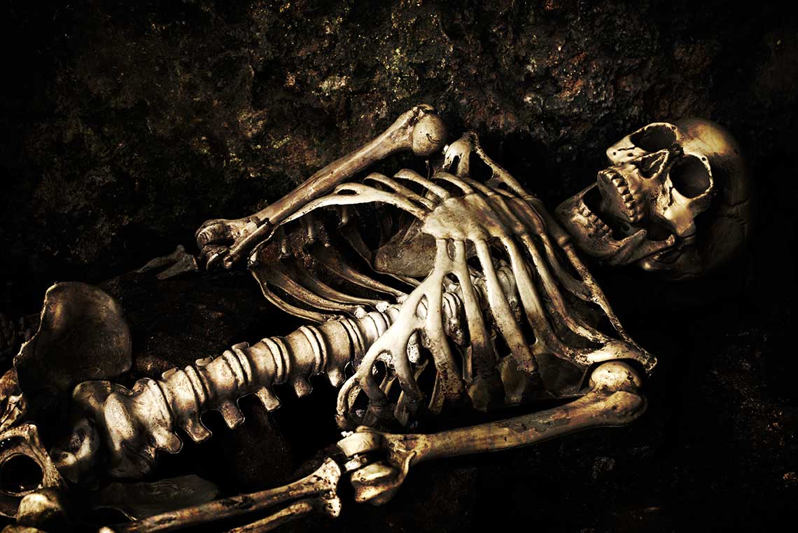 Harvey Skeleton is available in natural (clean) or aged (discolored) finish.