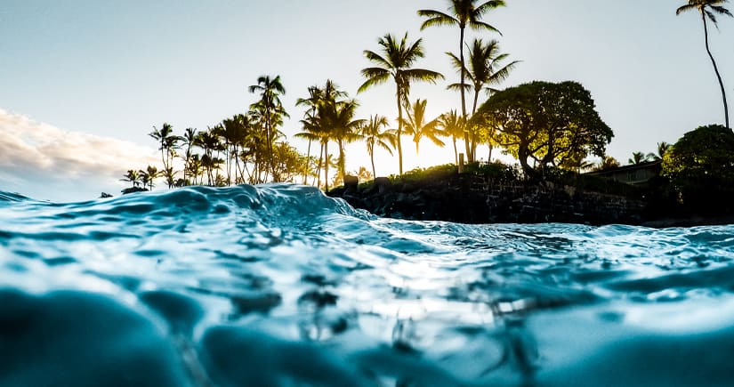 Fun Things To Do in Maui