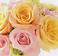FloralTips.jpg