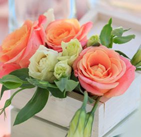 Flower-Delivery-&-Pick-Up-by-Powell-UI.jpg